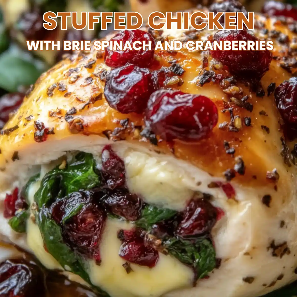 Turkey Cranberry Meatloaf 2 stuffed chicken with brie spinach and cranberries